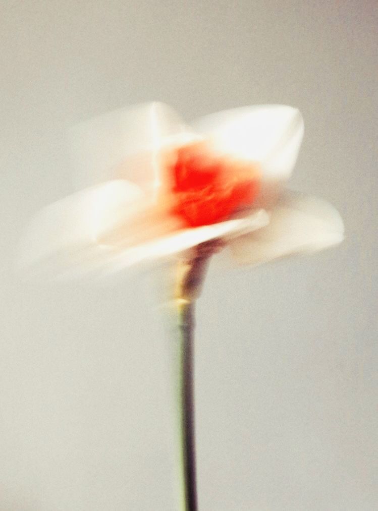 Límia Ateliê
